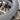 225/50 18  Continental ContiWinterContact TS 830 P Можно забрать по адресу: г. Москва,  район, Подушкинский путепровод, 3. Контактный телефон: +7 (916) 117-65-56 — Николай